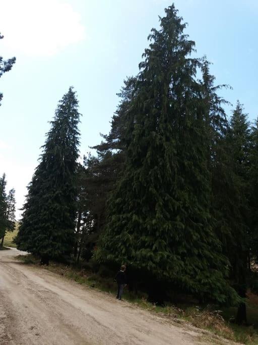 Вилла Casa Padre Manuel Do Couto Вила-Пока-ди-Агиар Экстерьер фото