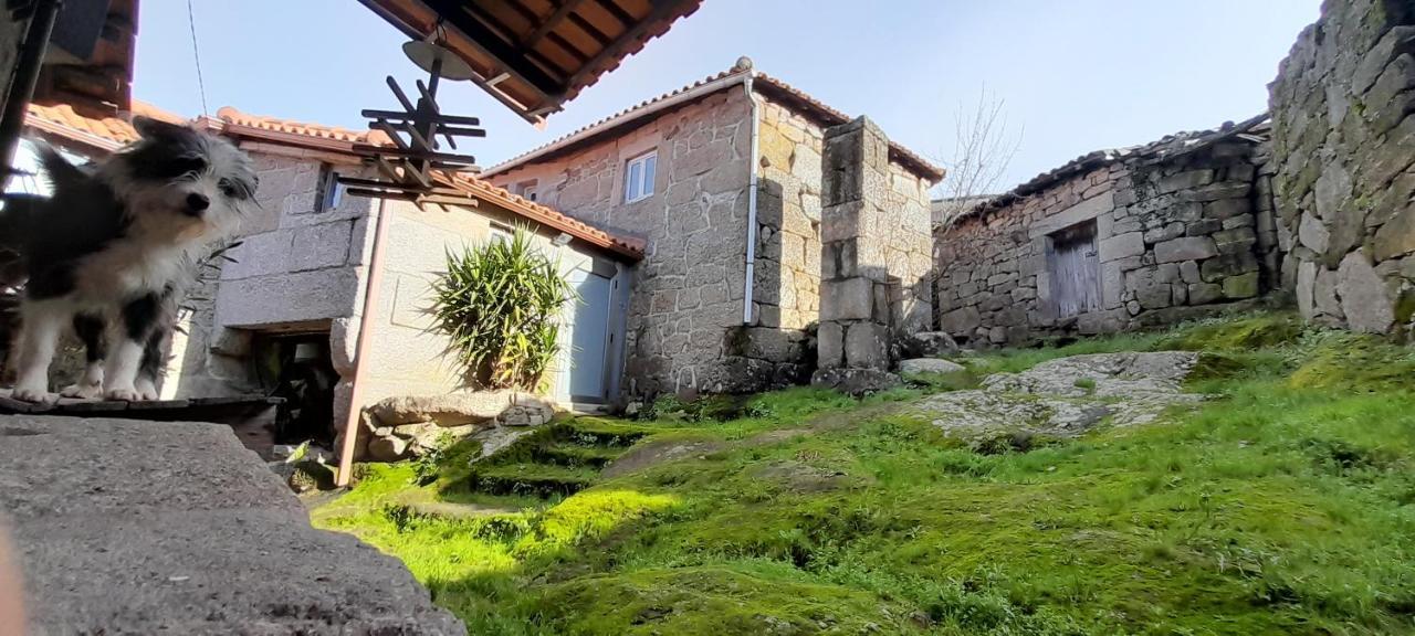 Вилла Casa Padre Manuel Do Couto Вила-Пока-ди-Агиар Экстерьер фото